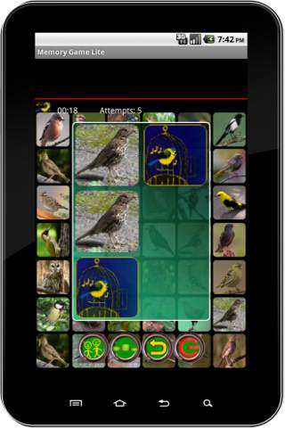 True Birds Memory Game Free स्क्रीनशॉट 3