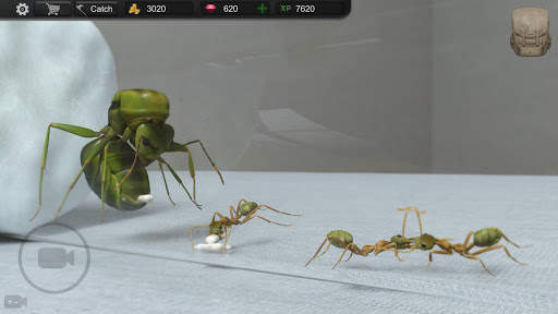 Ant Sim Tycoon screenshot 1