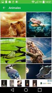 Wallpapers for whatsapp screenshot 5