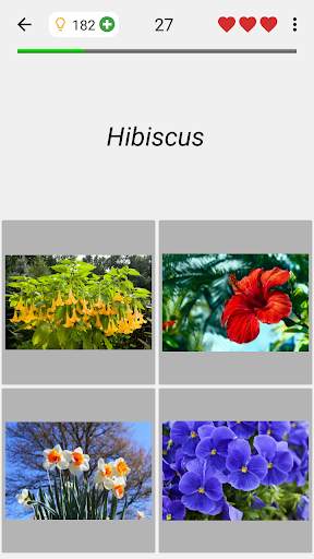 Flowers Quiz - Identify Plants screenshot 4