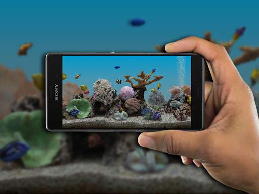 Marine Aquarium 3.3 screenshot 5