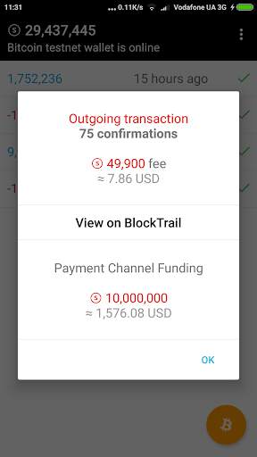Bitcoin Lightning Wallet TESTNET screenshot 5