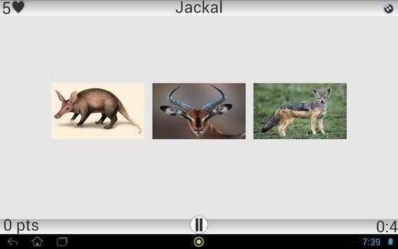 Animals screenshot 3