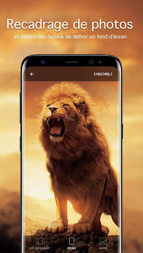 Lion Fonds d'écran 4K screenshot 3
