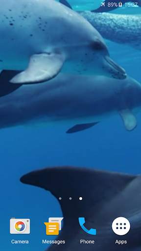 Dolphins Live Wallpaper screenshot 2
