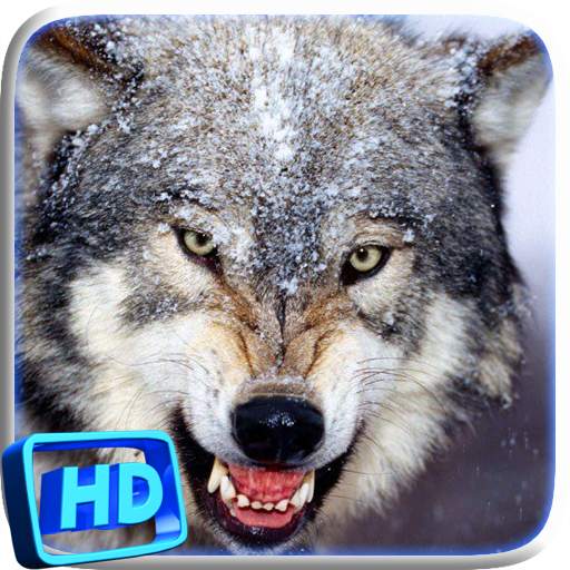 Wolf Video Live Wallpaper 5.0