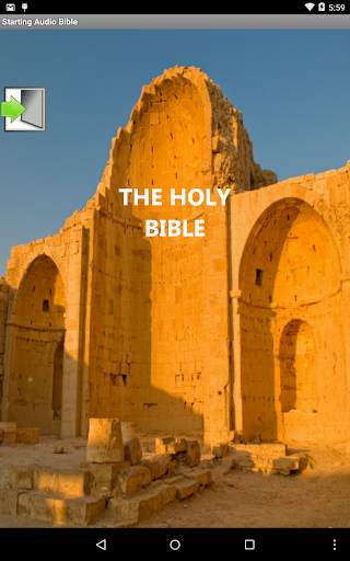 Audio Bible in English screenshot 15