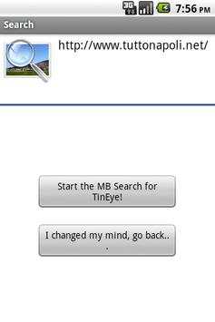 MB Search for TinEye screenshot 4