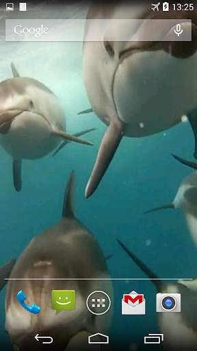 Dolphins Live Wallpaper screenshot 5
