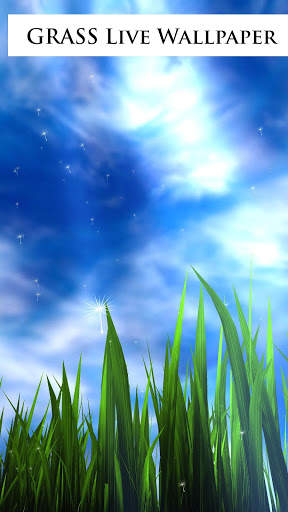 3D Pumpkins Grass FREE screenshot 4