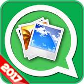 Images for Whatsapp - NEW 2017 logo