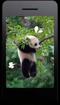 Camera Editor Free Apps screenshot 2