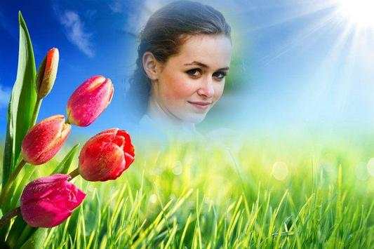 HD Photo Frames - Flowers screenshot 6