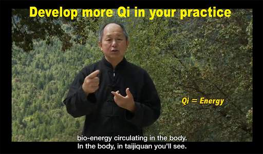 Yang Tai Chi Beginners Part 1 screenshot 5