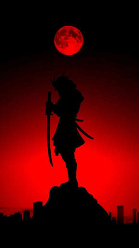 Ninja Wallpapers screenshot 5