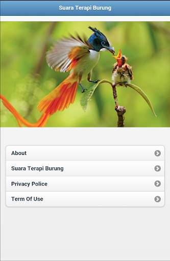 Suara Terapi Untuk Semua Jenis Burung screenshot 4