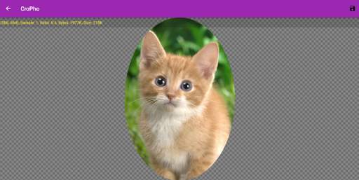 Free Photo Editor screenshot 8