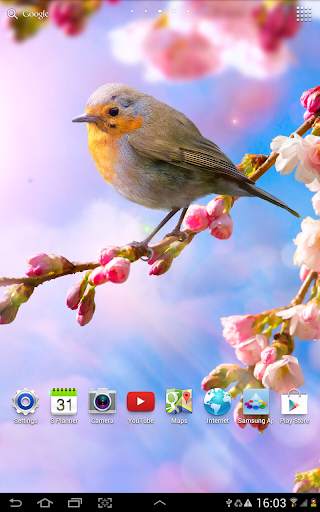 Flower Live Wallpaper screenshot 14