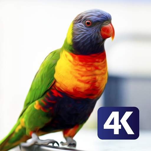 PhoneStack - Lovely Bird Wallpaper (QHD, 4K & UHD) 1.0.1