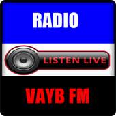 RADIO VAYB FM 1.0