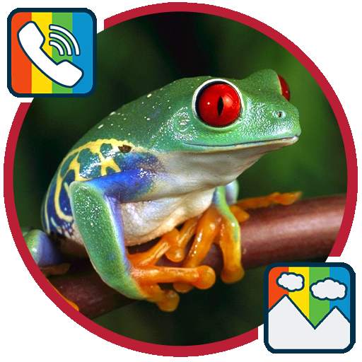 Frog - RINGTONES and WALLPAPERS 1.0