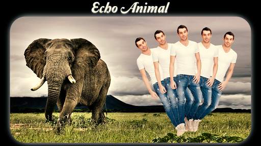 Echo Animal Effect : best echo 1 تصوير الشاشة