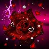 love rose 1