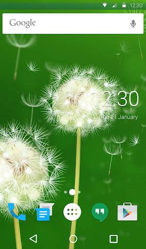 Dandelion Live Wallpaper Theme screenshot 6