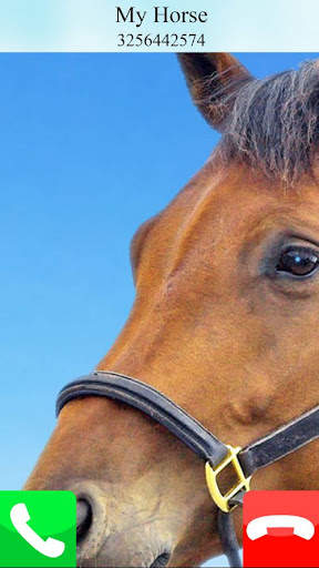 fake call horse game care screenshot 3