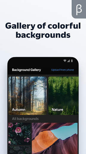 Yandex Browser (beta) screenshot 6