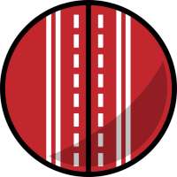 Cricket Simulator logo