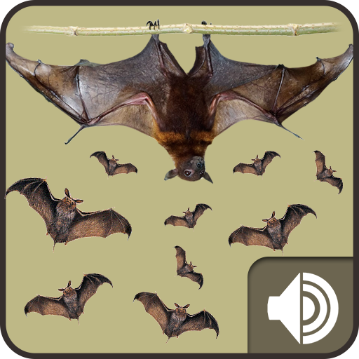 Bat Sounds أيقونة