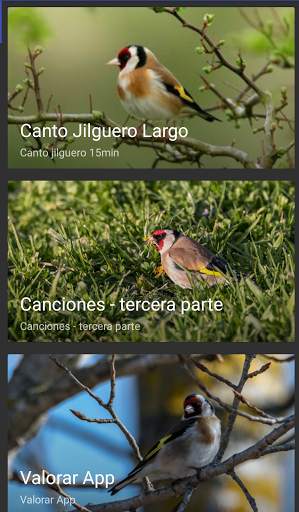 Goldfinch educate скриншот 2