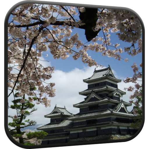 Sakura Video Live Wallpaper 5.0