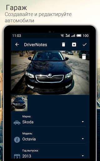 DriverNotes screenshot 12
