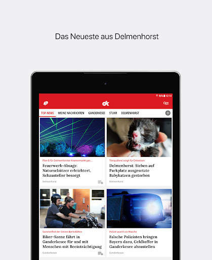 dk News screenshot 5