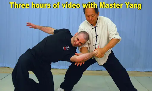 Tai Chi Martial Applications screenshot 11