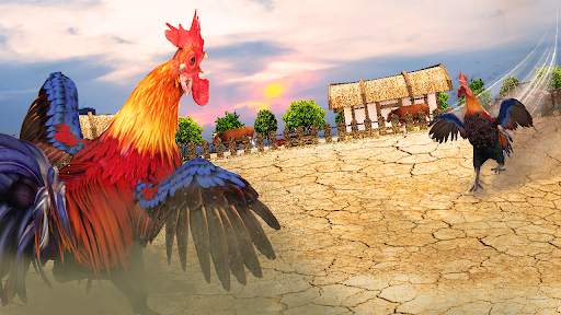 Wild Rooster Fighting Angry Chickens Fighter Games screenshot 3