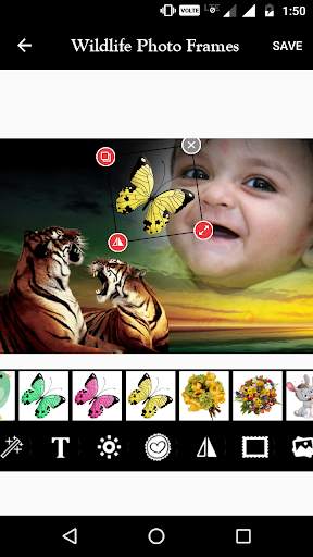 Wildlife Photo Frame screenshot 3