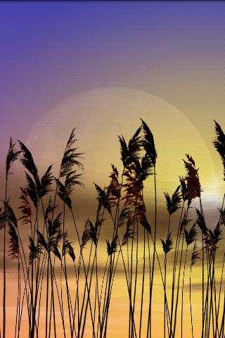 Reeds Free Live Wallpaper screenshot 1