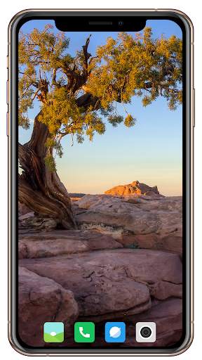 Tree Wallpaper screenshot 4