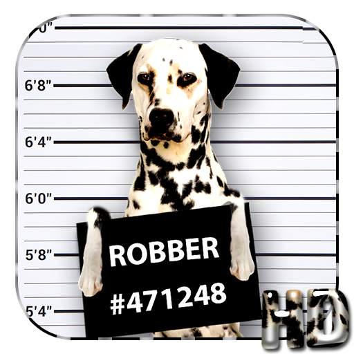Cool Dog APUS Live Wallpaper 1.0