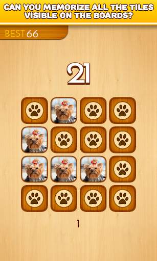 Brain games - Dogs - Memory training *Gold edition screenshot 2