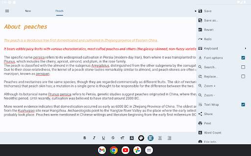 Text Editor screenshot 10
