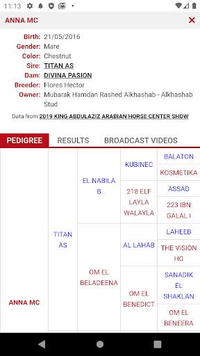 Arabian Essence TV screenshot 7