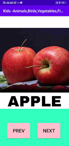 Kids - Animal,Birds,Fruits,Vegetables Names screenshot 2