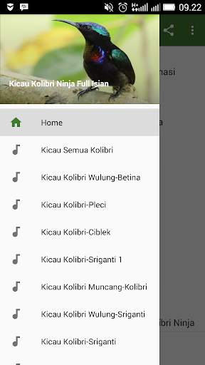 Kicau Kolibri Ninja Full Isian screenshot 1