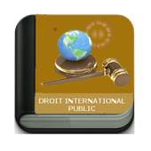 Droit International Public 1.0
