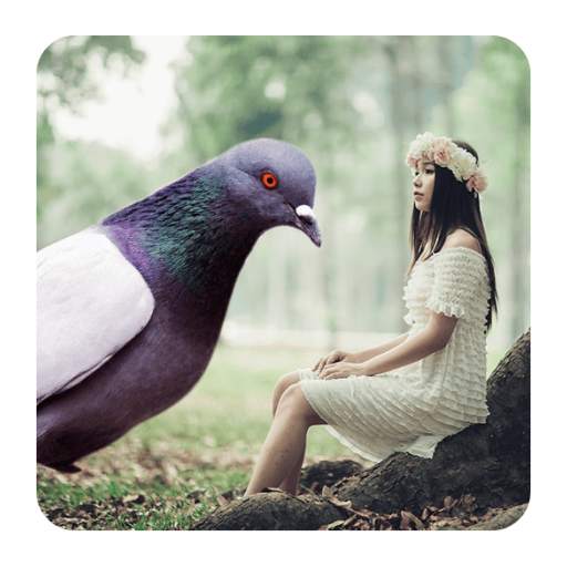 Dove Photo Editor - Dove Photo Frames 3