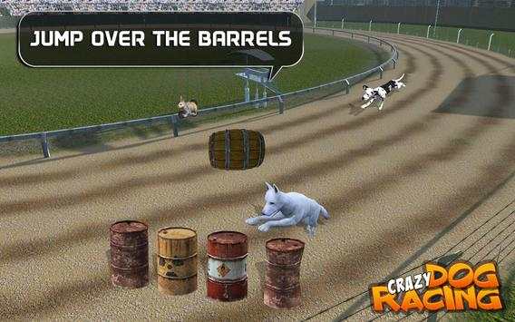 Crazy Dog Racing 6 تصوير الشاشة